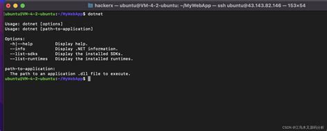 dotnet 6|dotnet6.0.0.